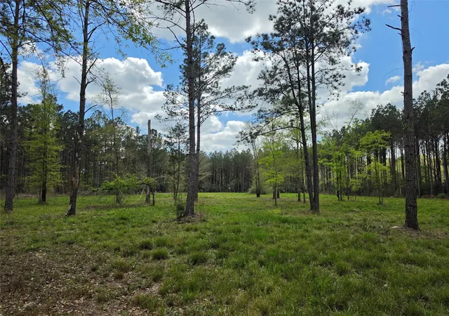 Photo 1 of Sale Pending at Tbd Kelley Rd, Livingston, TX 77351 | MLS# 10770181 | Listing updated on 2026-08-25