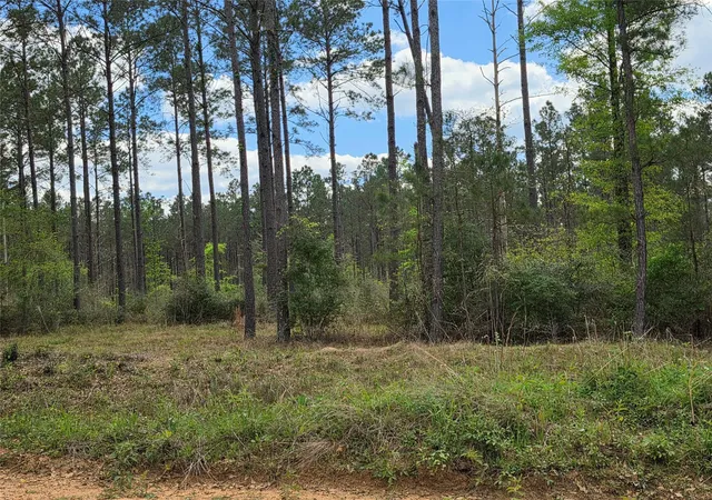 Photo 2 of Sale Pending at Tbd Kelley Rd, Livingston, TX 77351 | MLS# 10770181 | Listing updated on 2026-08-25