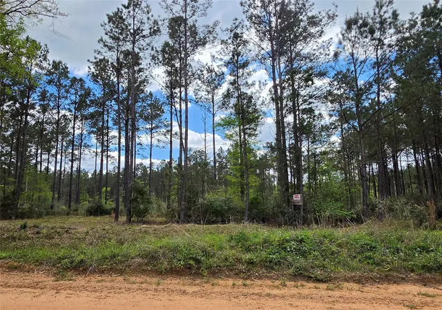 Photo 3 of Sale Pending at Tbd Kelley Rd, Livingston, TX 77351 | MLS# 10770181 | Listing updated on 2026-08-25