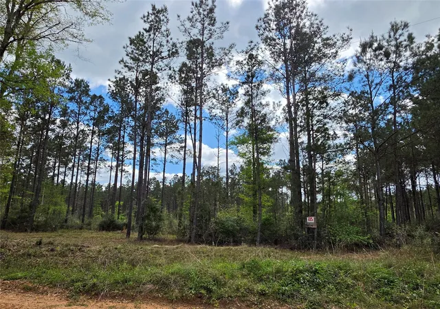 Photo 3 of Sale Pending at Tbd Kelley Rd, Livingston, TX 77351 | MLS# 10770181 | Listing updated on 2026-08-25