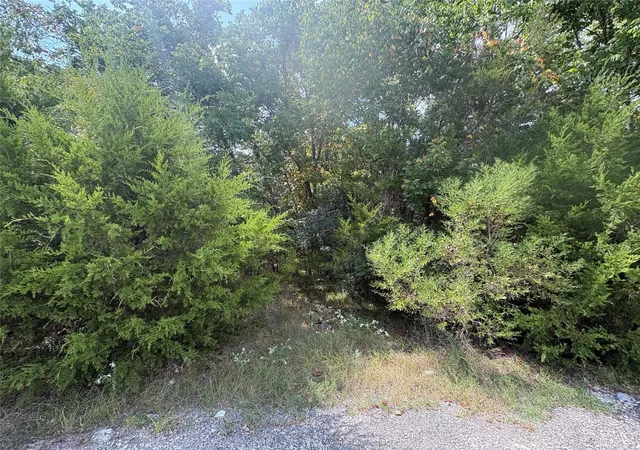 Photo 3 of Land for sale at 23 N Pine Harbour Dr, Coldspring, TX 77331 | MLS# 90097851 | Listing updated on 2026-08-25