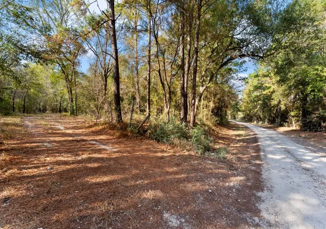 Photo 1 of Land for sale at 585 Bishop Rd, Huntsville, TX 77320 | MLS# 96286546 | Listing updated on 2026-05-27