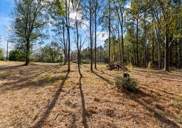Photo 2 of Land for sale at 585 Bishop Rd, Huntsville, TX 77320 | MLS# 96286546 | Listing updated on 2026-05-27
