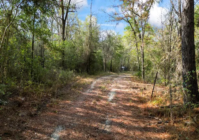 Photo 3 of Land for sale at 585 Bishop Rd, Huntsville, TX 77320 | MLS# 96286546 | Listing updated on 2026-05-27