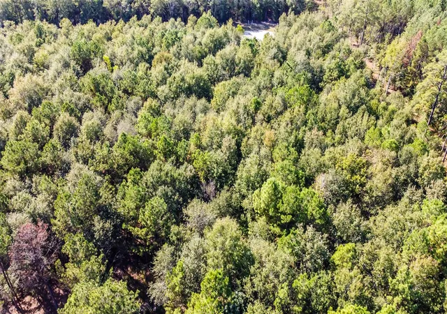 3rd image of 1524 Road 66119, Dayton, TX 77535 | MLS# 40256019
