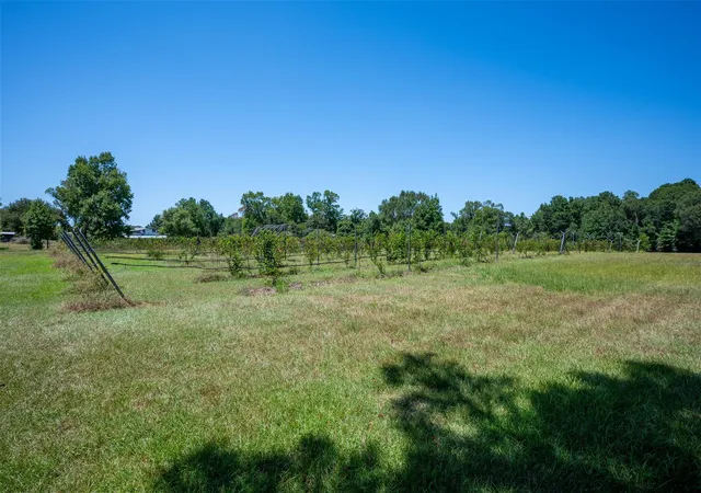 Photo 3 of Land for sale at 20545 Farm To Market 92 S, Fred, TX 77616 | MLS# 37291046 | Listing updated on 2026-08-19