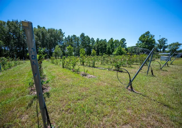 Photo 3 of Land for sale at 20545 Farm To Market 92 S, Fred, TX 77616 | MLS# 37291046 | Listing updated on 2026-08-19