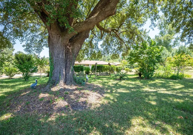 Photo 4 of Land for sale at 20545 Farm To Market 92 S, Fred, TX 77616 | MLS# 37291046 | Listing updated on 2026-08-19