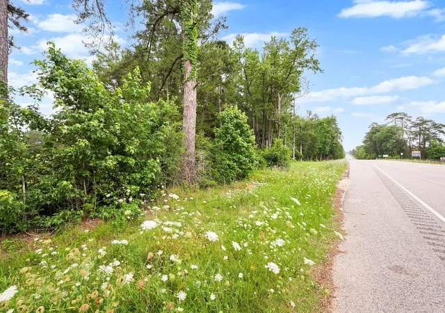 Homes for sale in New Waverly, TX | 4931 Hwy 150 W, New Waverly, TX 77358 | MLS# 78371780