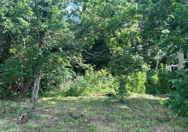 5th image of 0000 Tavenor Ln, Houston, TX 77075 | MLS# 57205341