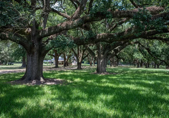 4th image of 625 County Road 2570, Colmesneil, TX 75938 | MLS# 87066185