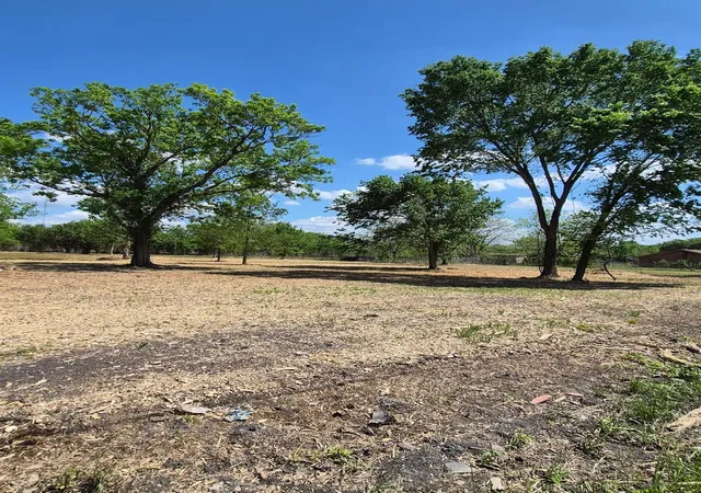 2nd image of 000 Louise St, Navasota, TX 77868 | MLS# 38287595