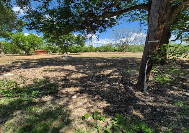 4th image of 000 Louise St, Navasota, TX 77868 | MLS# 38287595