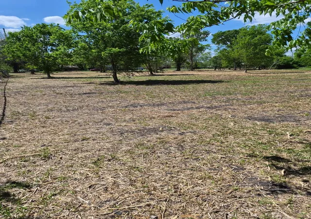 5th image of 000 Louise St, Navasota, TX 77868 | MLS# 38287595
