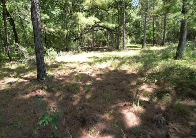1st image of 0000 Jones Rd, New Waverly, TX 77358 | MLS# 74068429