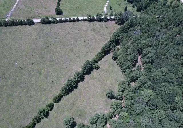2nd image of 0000 Jones Rd, New Waverly, TX 77358 | MLS# 74068429