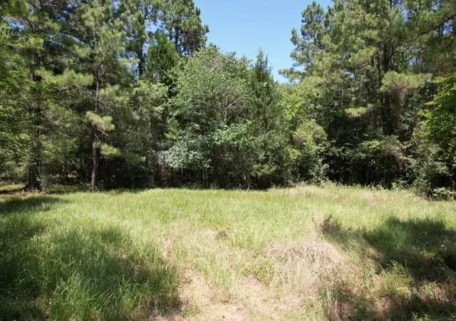 3rd image of 0000 Jones Rd, New Waverly, TX 77358 | MLS# 74068429
