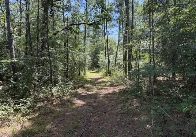 4th image of 0000 Jones Rd, New Waverly, TX 77358 | MLS# 74068429
