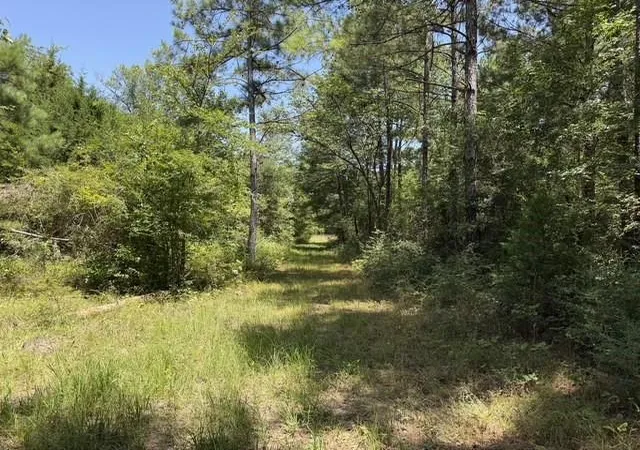 5th image of 0000 Jones Rd, New Waverly, TX 77358 | MLS# 74068429