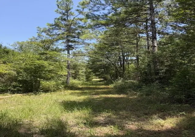 6th image of 0000 Jones Rd, New Waverly, TX 77358 | MLS# 74068429
