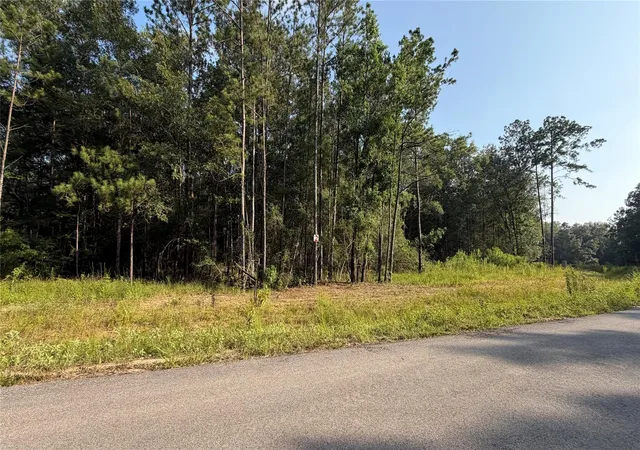 Photo 1 of Land for sale at 201 County Rd 6311, Dayton, TX 77535 | MLS# 82275329 | Listing updated on 2026-06-22