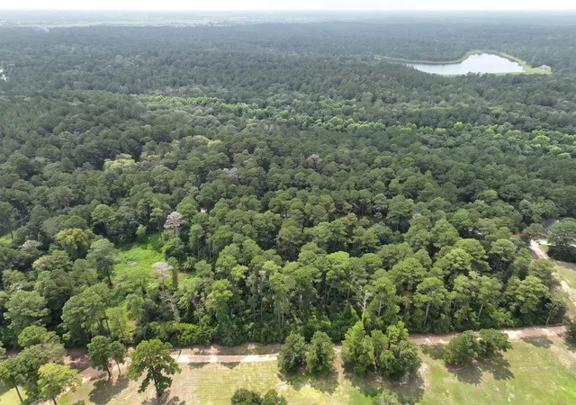 4th image of Tba South Section, 3340 Cr 325, Navasota, TX 77868 | MLS# 26651631