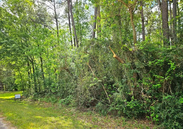 Photo 3 of Land for sale at Tbd Bernard Ct, Porter Heights, TX 77365 | MLS# 76317315 | Listing updated on 2026-07-01