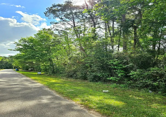 Photo 3 of Land for sale at Tbd Bernard Ct, Porter Heights, TX 77365 | MLS# 76317315 | Listing updated on 2026-07-01