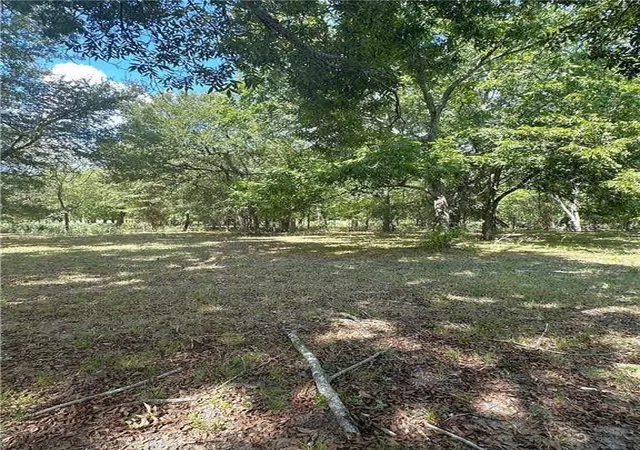 4th image of 853 County Road 206, Bremond, TX 76629 | MLS# 76418001