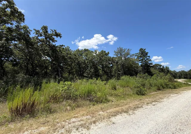 12th image of Tbd Pr 1284, Centerville, TX 75833 | MLS# 50045976
