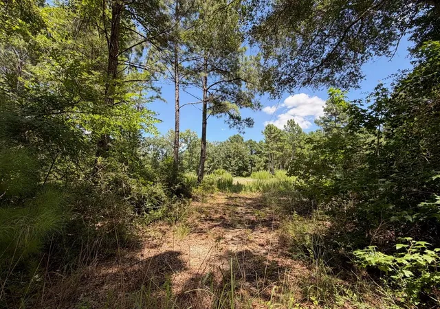 1st image of Tbd Pr 1284, Centerville, TX 75833 | MLS# 50045976