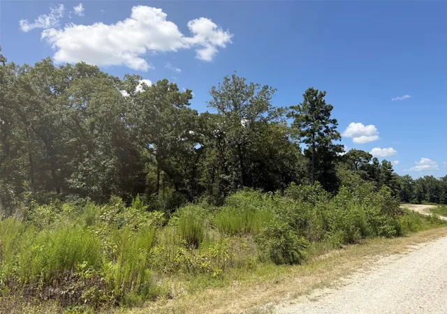 4th image of Tbd Pr 1284, Centerville, TX 75833 | MLS# 50045976