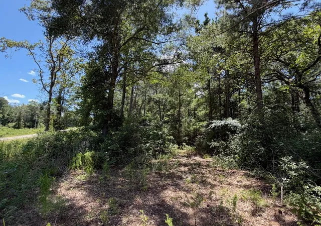 5th image of Tbd Pr 1284, Centerville, TX 75833 | MLS# 50045976