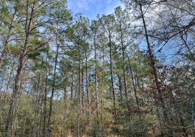 Homes for sale in Mauriceville, TX | T 1 Zavalla Road, Mauriceville, TX 77626 | MLS# 36299562