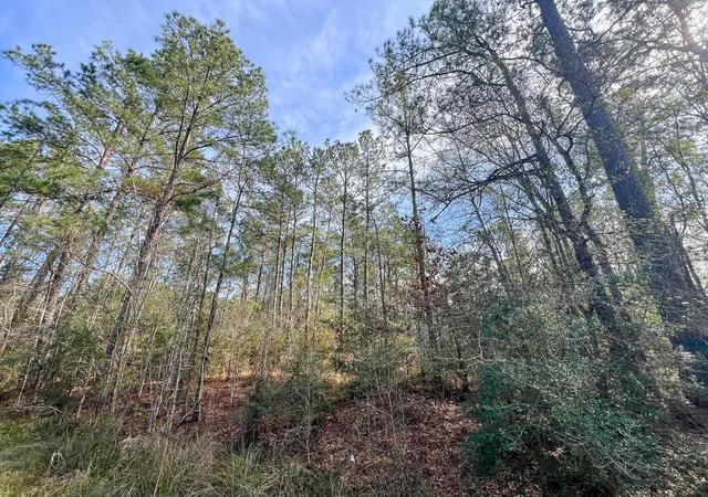 Homes for sale in Mauriceville, TX | T 1 Zavalla Road, Mauriceville, TX 77626 | MLS# 36299562
