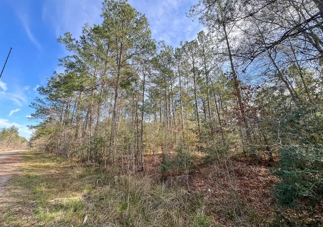 Homes for sale in Mauriceville, TX | T-1 Zavalla Road, Mauriceville, TX 77626 | MLS# 36299562