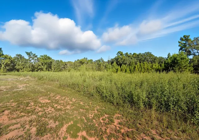 Homes for sale in Riverside, TX | Tbd Tx 19, Riverside, TX 77367 | MLS# 60291322