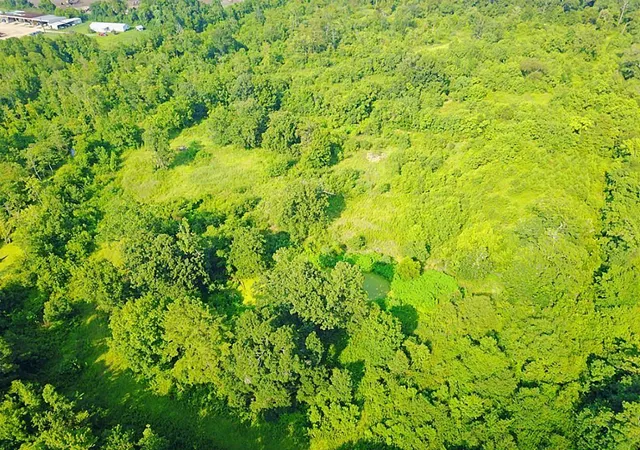 Photo 4 of Land for sale at 8711 Fm 787, Cleveland, TX 77327 | MLS# 67700153 | Listing updated on 2026-08-24
