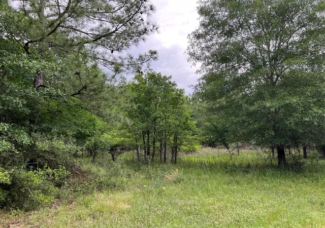 Homes for sale in Bedias, TX | Tract 2 English Rd, Bedias, TX 77831 | MLS# 75342475