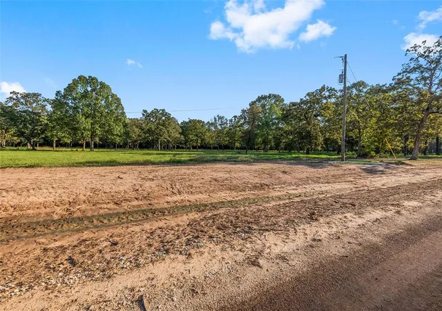 1st image of 6124 Alans Memorial Ln, New Waverly, TX 77358 | MLS# 66387774