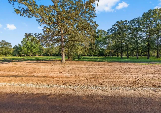 2nd image of 6124 Alans Memorial Ln, New Waverly, TX 77358 | MLS# 66387774