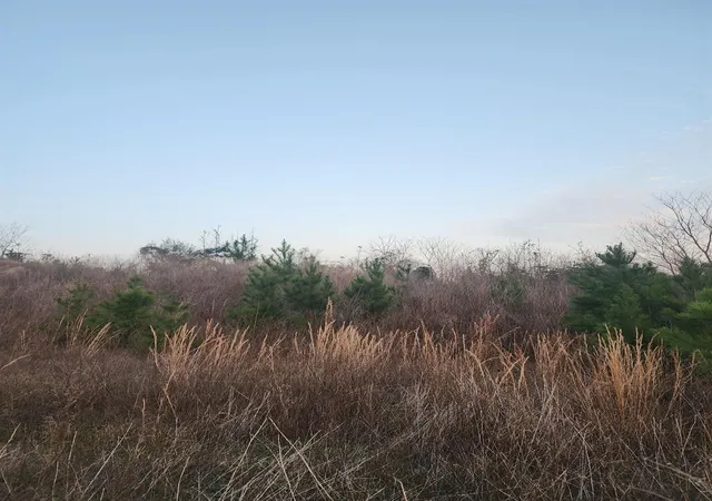 Photo 2 of Land for sale at 340 Road 5805, Cleveland, TX 77327 | MLS# 83055939 | Listing updated on 2026-06-26