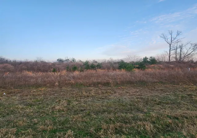 Photo 3 of Land for sale at 340 Road 5805, Cleveland, TX 77327 | MLS# 83055939 | Listing updated on 2026-06-26