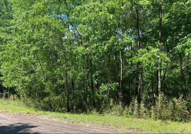 Photo 3 of Land for sale at 43 Shetland Ln, Coldspring, TX 77331 | MLS# 80488748 | Listing updated on 2026-10-07