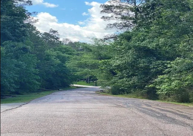 Photo 3 of Land for sale at 43 Shetland Ln, Coldspring, TX 77331 | MLS# 80488748 | Listing updated on 2026-10-07