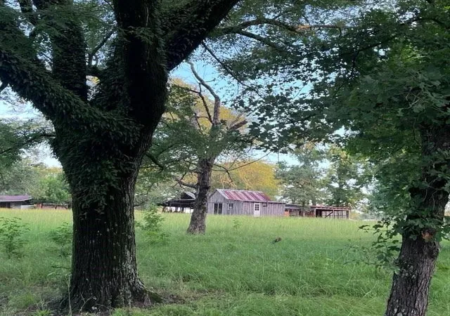 30th image of 7921 Fm 3178, Centerville, TX 75833 | MLS# 11769156