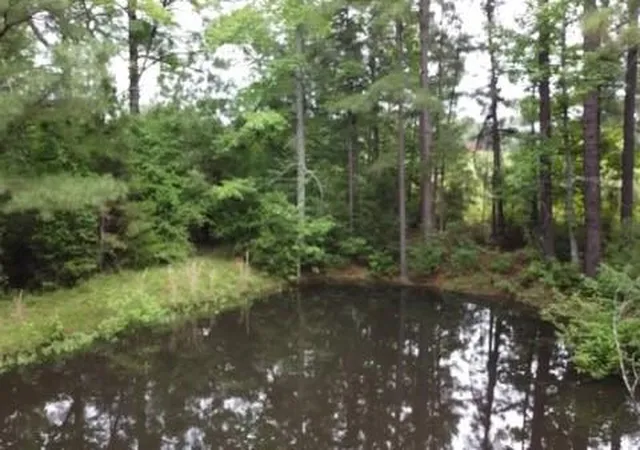 4th image of 7921 Fm 3178, Centerville, TX 75833 | MLS# 11769156