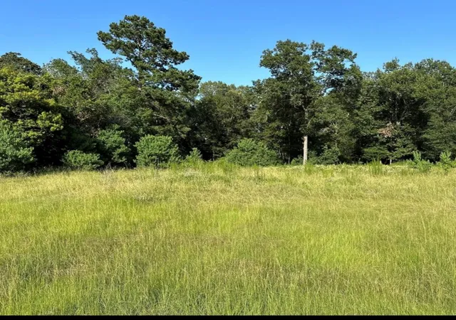 3rd image of 28406 Calaveras Creek Ct, Huffman, TX 77336 | MLS# 50821235