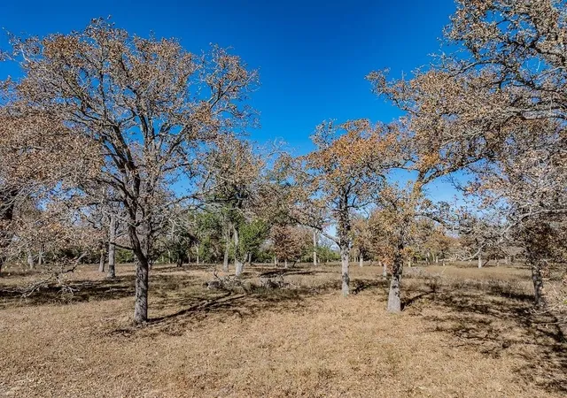 19th image of Tbd Hwy 71 By  Feeder Rd, La Grange, TX 78945 | MLS# 72389290