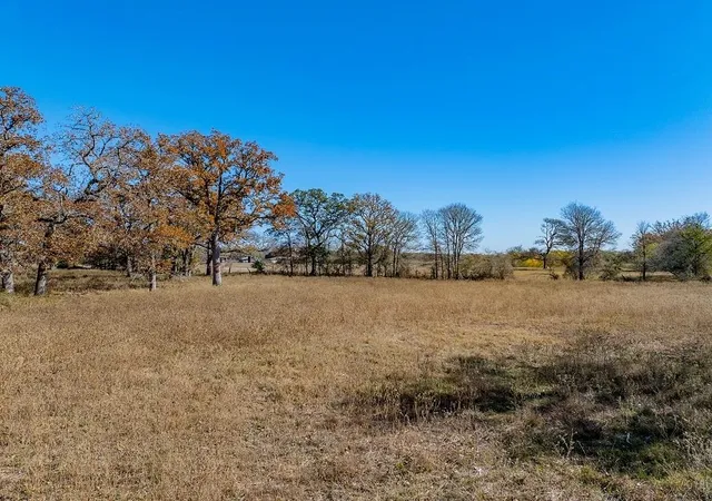 Photo 3 of Land for sale at Tbd Hwy 71 By Feeder Rd, La Grange, TX 78945 | MLS# 72389290 | Listing updated on 2026-07-16